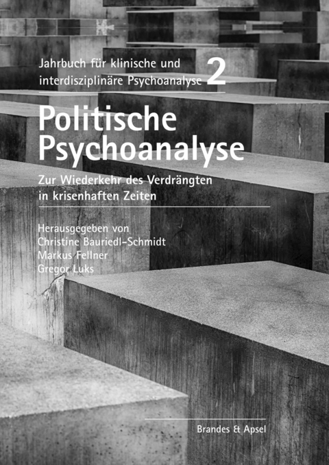 Politische Psychoanalyse - Christine Bauriedl-Schmidt, Gudrun Brockhaus, Charlotte Busch, Markus Fellner, Esther Hutfless, Charlie Kaufhold, Christine Korischek, Gregor Luks, Leonid Luks, Ursula Mayr, Ian Parker, Eran Rolnik, Valerie Schneider, Ralph Weber, Hans-Jürgen Wirth, Josef Zierl