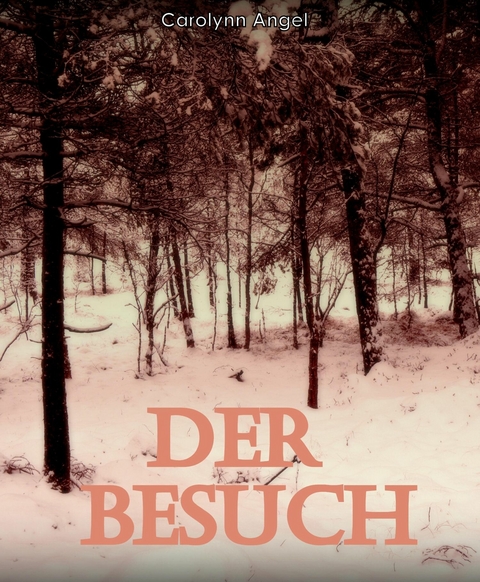 Der Besuch - Carolynn Angel