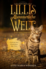 Lillis abenteuerliche Welt - Anne Maria Wimmer