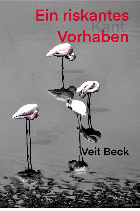 Ein riskantes Vorhaben - Veit Beck