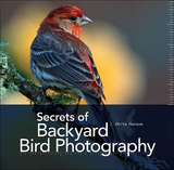 Secrets of Backyard Bird Photography - J. Chris Hansen