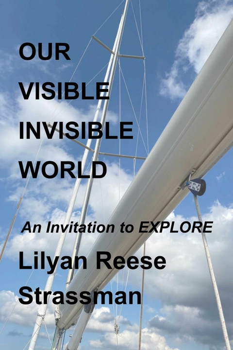 Our Visible Invisible World -  Lilyan Strassman