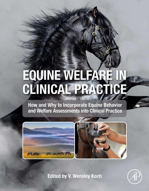 Equine Welfare in Clinical Practice - 