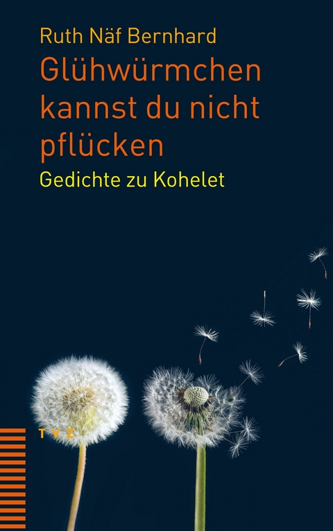 Glühwürmchen kannst du nicht pflücken - Ruth Näf Bernhard