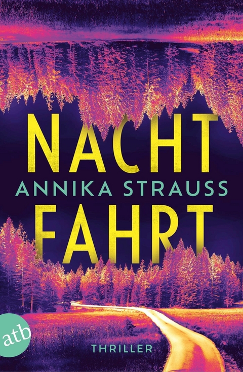 Nachtfahrt -  Annika Strauss