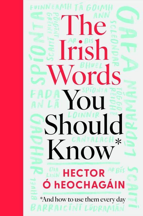 The Irish Words You Should Know - Hector Ó hEochagáin