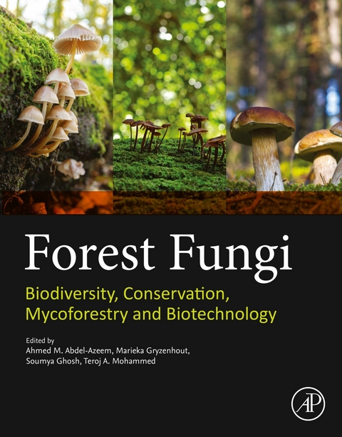 Forest Fungi - 