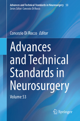 Advances and Technical Standards in Neurosurgery - 