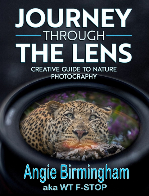 Journey Through the Lens -  Angie Birmingham