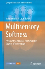 Multisensory Softness - 