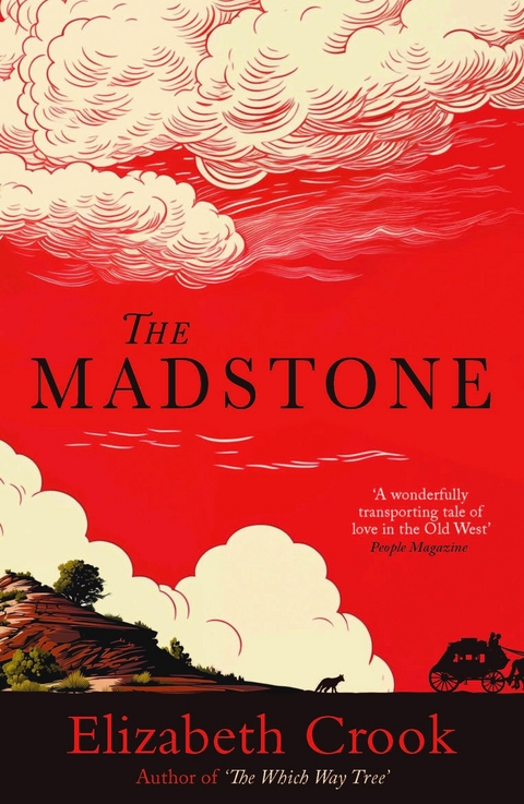 The Madstone - Elizabeth Crook