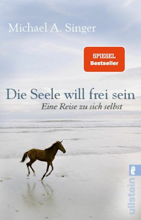 Die Seele will frei sein -  Michael A. Singer