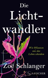 Die Lichtwandler - Zoë Schlanger