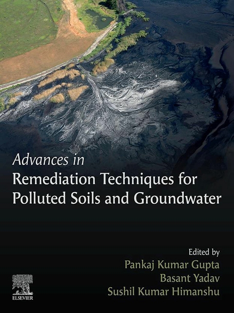 Advances in Remediation Techniques for Polluted Soils and Groundwater - 