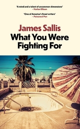 What You Were Fighting For -  James Sallis