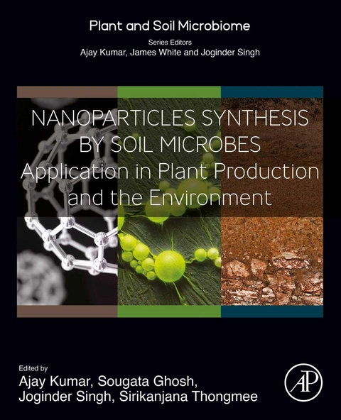 Nanoparticles Synthesis by Soil Microbes - 