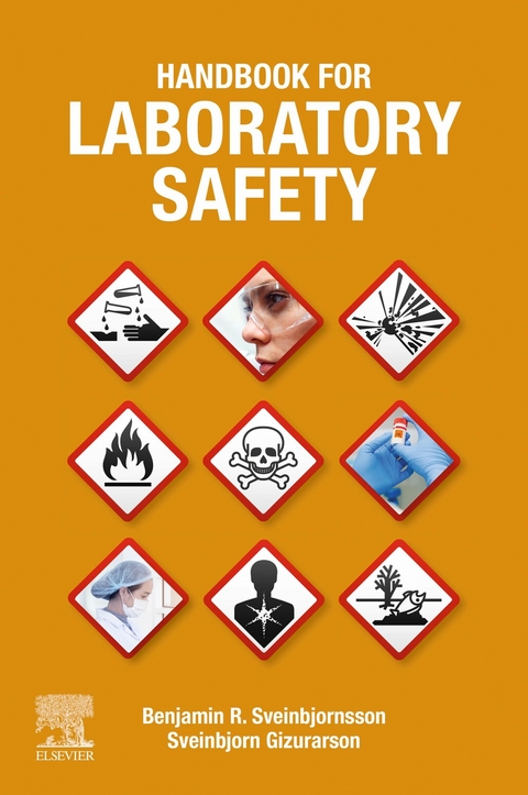 Handbook for Laboratory Safety -  Sveinbjorn Gizurarson,  Benjamin R. Sveinbjornsson