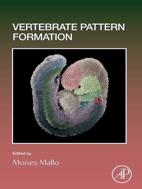 Vertebrate Pattern Formation - 