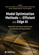 Model Optimization Methods for Efficient and Edge AI - 