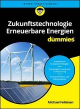 Zukunftstechnologie Erneuerbare Energien für Dummies - Michael Felleisen