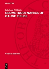 Geometrodynamics of Gauge Fields -  Eckehard W. Mielke