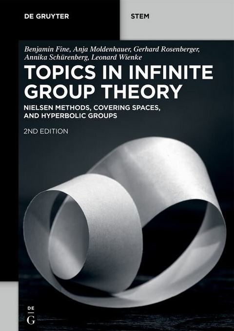 Topics in Infinite Group Theory -  Benjamin Fine,  Anja Moldenhauer,  Gerhard Rosenberger,  Annika Schürenberg,  Leonard Wienke