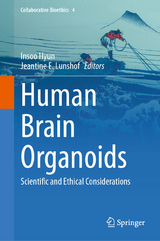 Human Brain Organoids - 