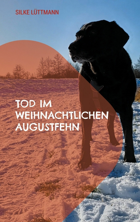 Tod im weihnachtlichen Augustfehn - Silke Lüttmann