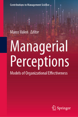 Managerial Perceptions - 