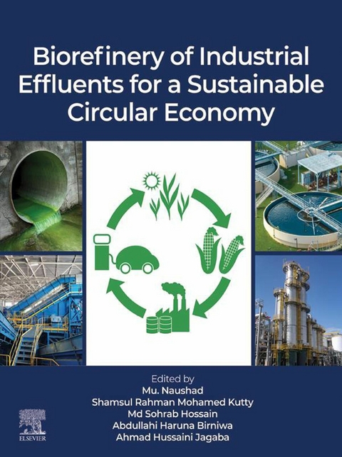 Biorefinery of Industrial Effluents for a Sustainable Circular Economy - 