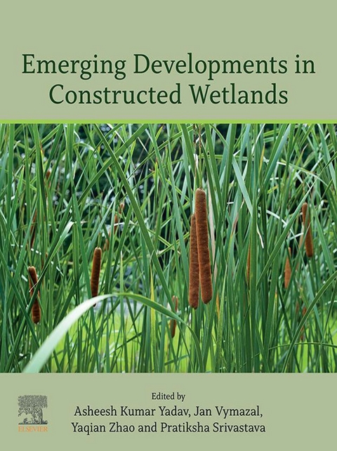 Emerging Developments in Constructed Wetlands - 