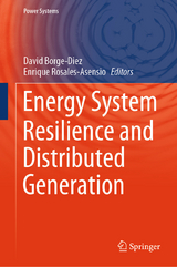 Energy System Resilience and Distributed Generation - 