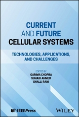 Current and Future Cellular Systems - 