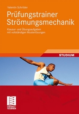 Prüfungstrainer Strömungsmechanik - Valentin Schröder