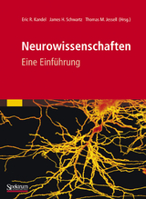 Neurowissenschaften - Eric Kandel, James Schwartz, Thomas Jessell