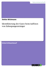 Identifizierung des Gases beim Auflösen von Zahnspangenreiniger -  Stefan Wichmann