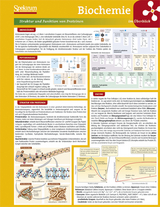 Lerntafel: Biochemie im Überblick - 