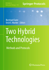 Two Hybrid Technologies - 