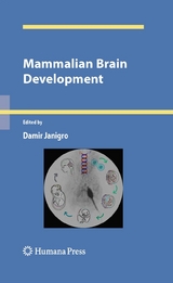 Mammalian Brain Development - 