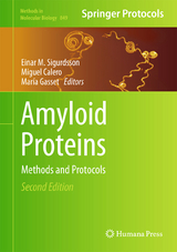 Amyloid Proteins - Sigurdsson, Einar M.; Calero, Miguel; Gasset, María