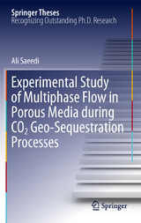 Experimental Study of Multiphase Flow in Porous Media during CO2 Geo-Sequestration Processes - Ali Saeedi