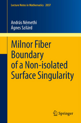 Milnor Fiber Boundary of a Non-isolated Surface Singularity - András Némethi, Ágnes Szilárd