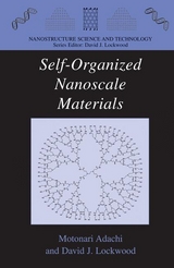 Self-Organized Nanoscale Materials - 