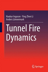 Tunnel Fire Dynamics - Haukur Ingason, Ying Zhen Li, Anders Lönnermark