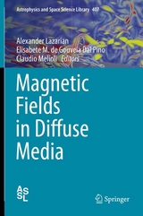 Magnetic Fields in Diffuse Media - 