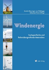 Fachübergreifender Unterricht / Windenergie - 