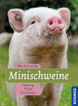 Minischweine - Elke Striowsky