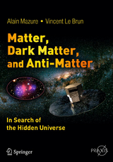 Matter, Dark Matter, and Anti-Matter - Alain Mazure, Vincent Le Brun