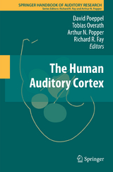 The Human Auditory Cortex - 