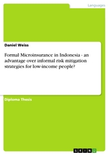 Formal Microinsurance in Indonesia - an advantage over informal risk mitigation strategies for low-income people? -  Daniel Weiss